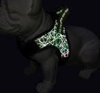 Dog Leash Vest Pet Harness Bullfight