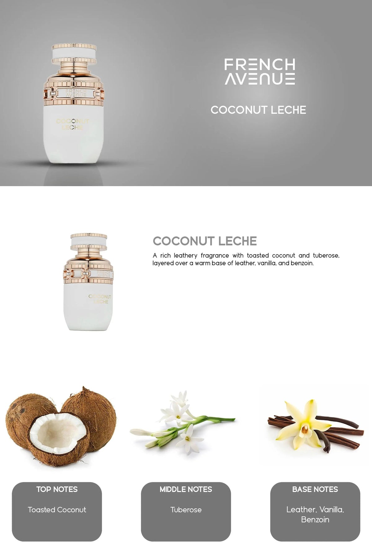 Coconut Leche Perfume 100ml EDP French Avenue