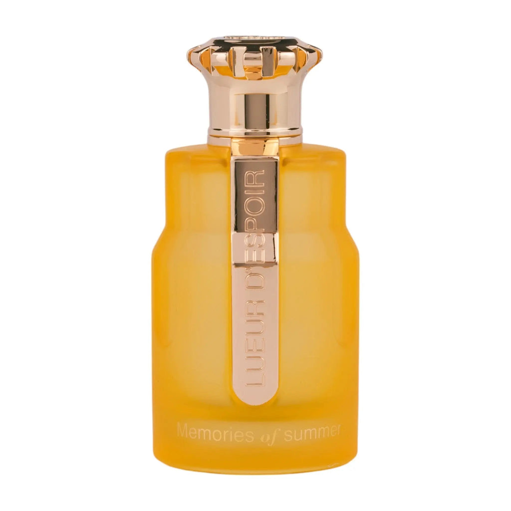 Emir Memories of Summer Perfume 100ml EDP Paris Corner