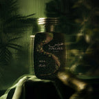 Hawas Boa Perfume 100ml EDP Rasasi