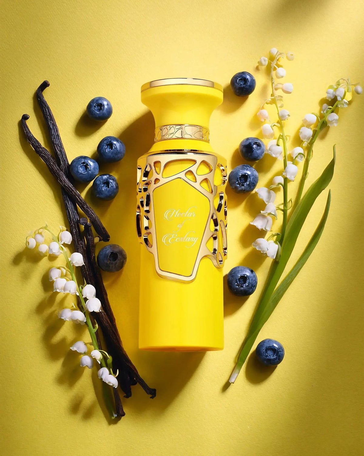 Nectar Of Ecstasy Perfume 100ml EDP Fragrance World