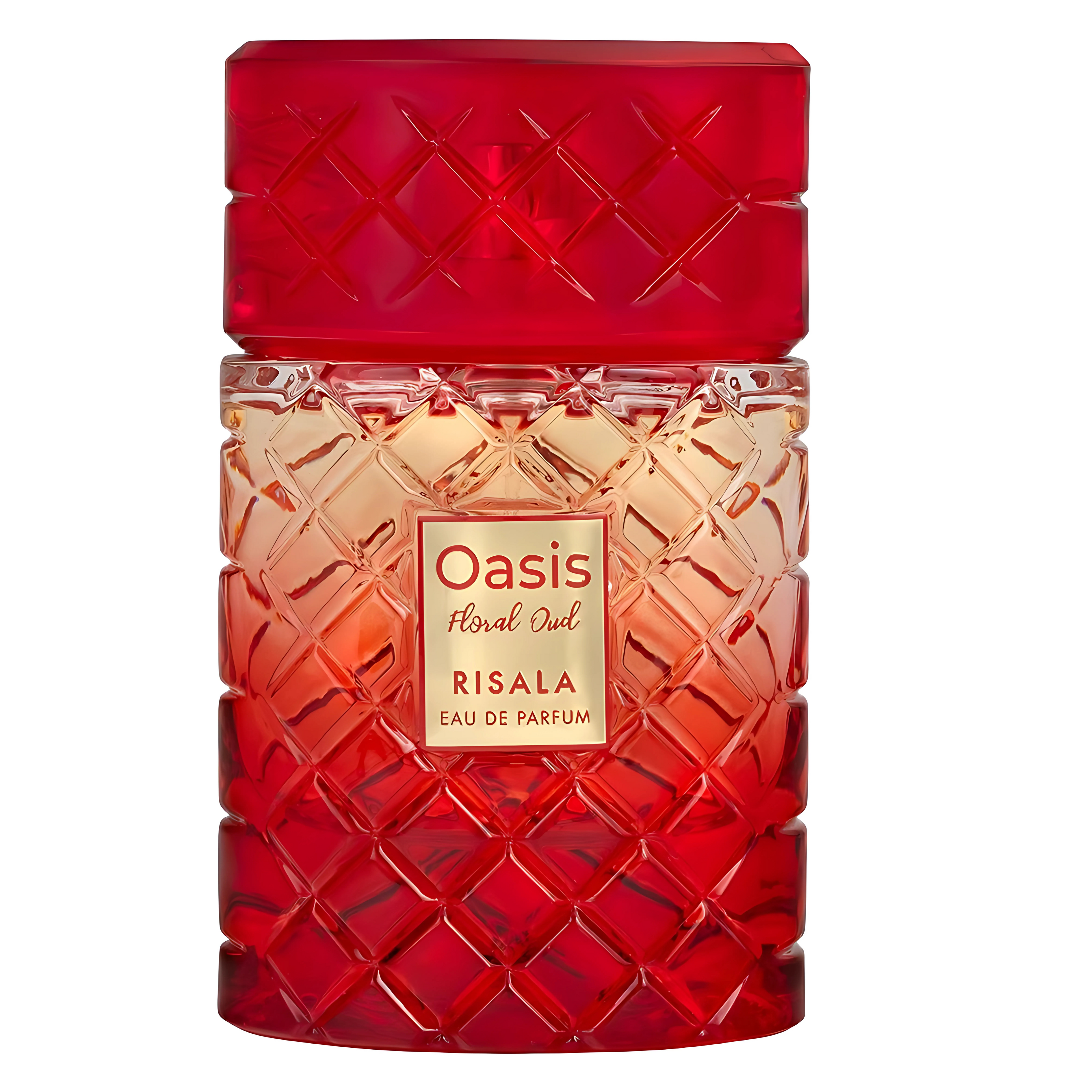 Oasis Floral Oud Perfume 100ml EDP Risala