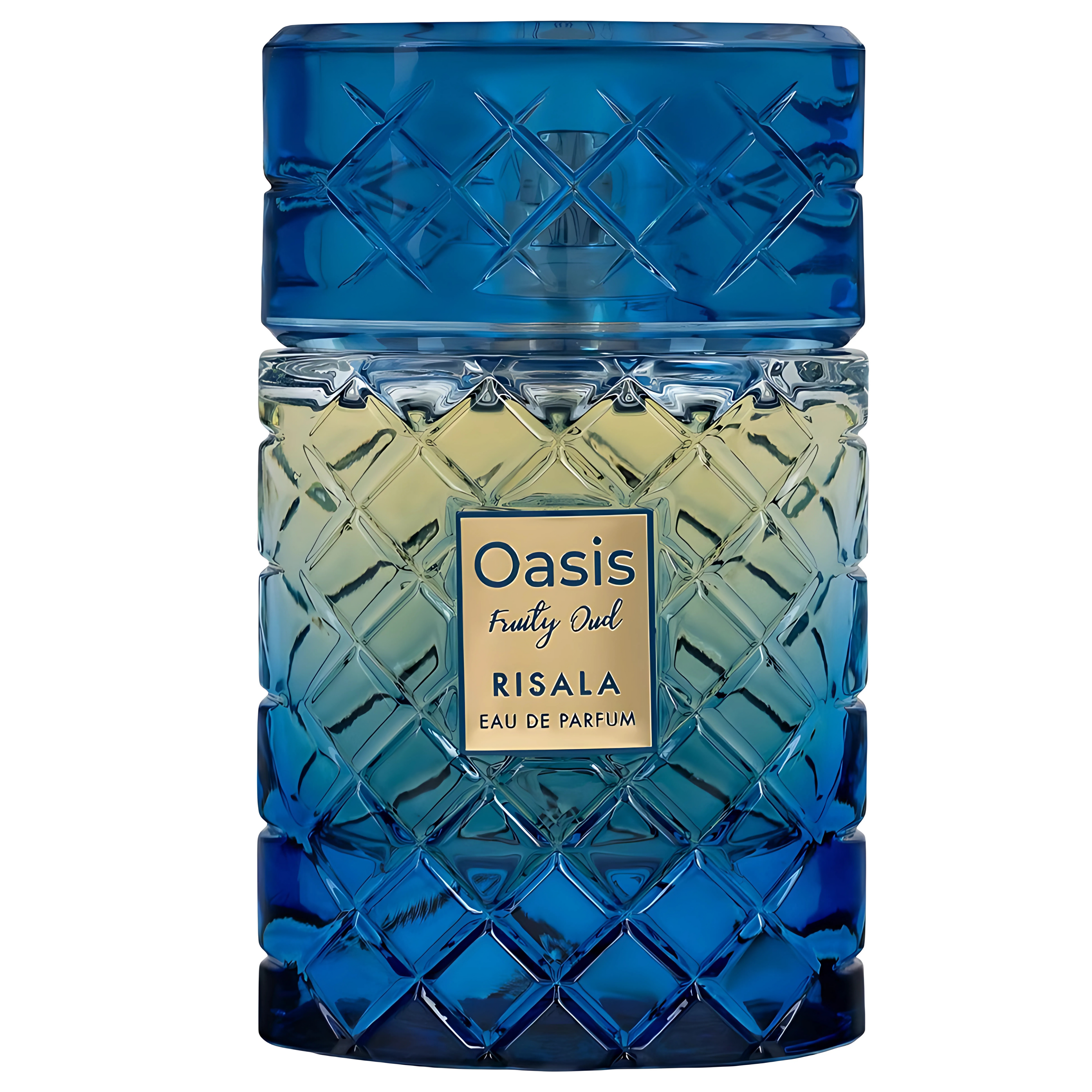 Oasis Fruity Oud Perfume 100ml EDP Risala