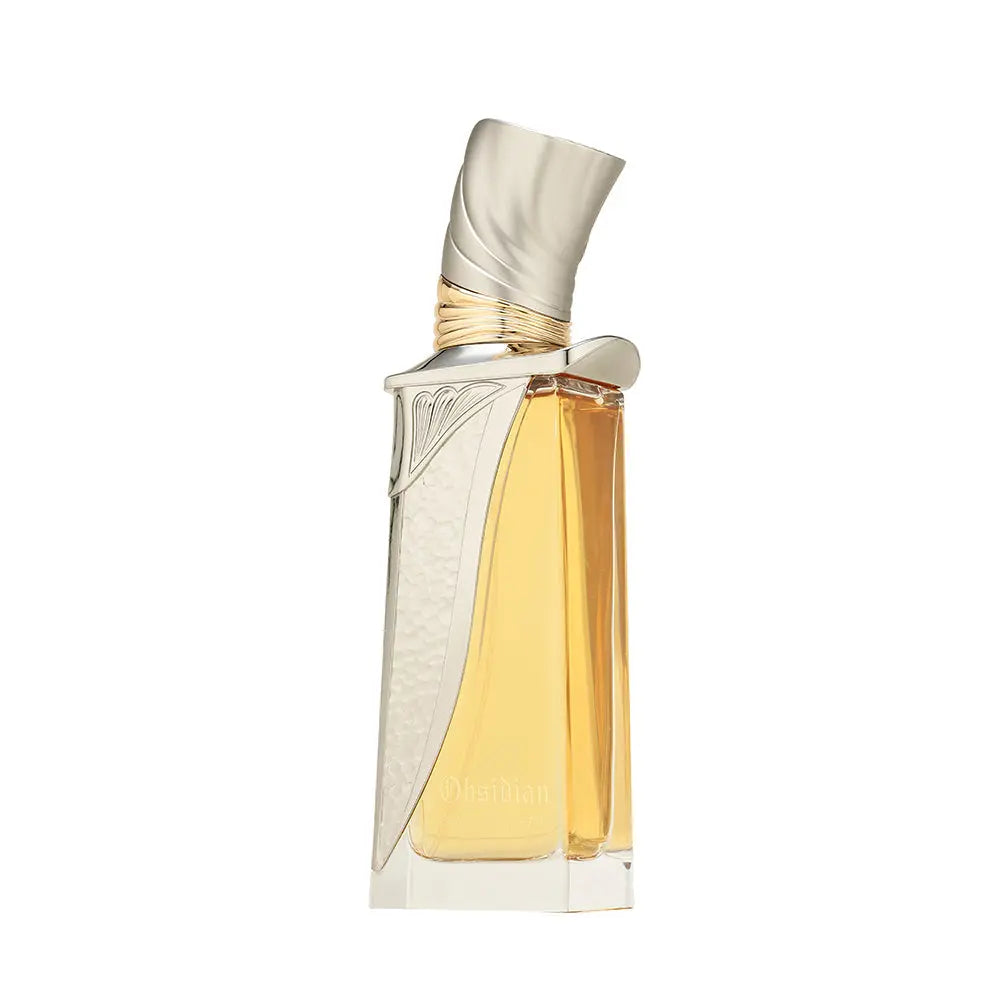 Obsidian Perfume 100ml EDP French Avenue