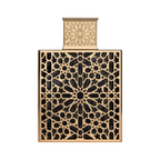 Rayhaan Elixir Perfume 100ml EDP by Rayhaan