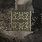 Rayhaan Terra Perfume 100ml EDP by Rayhaan