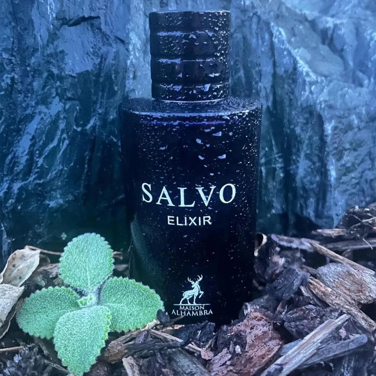 Salvo Elixir Perfume 60ml EDP Maison Alhambra