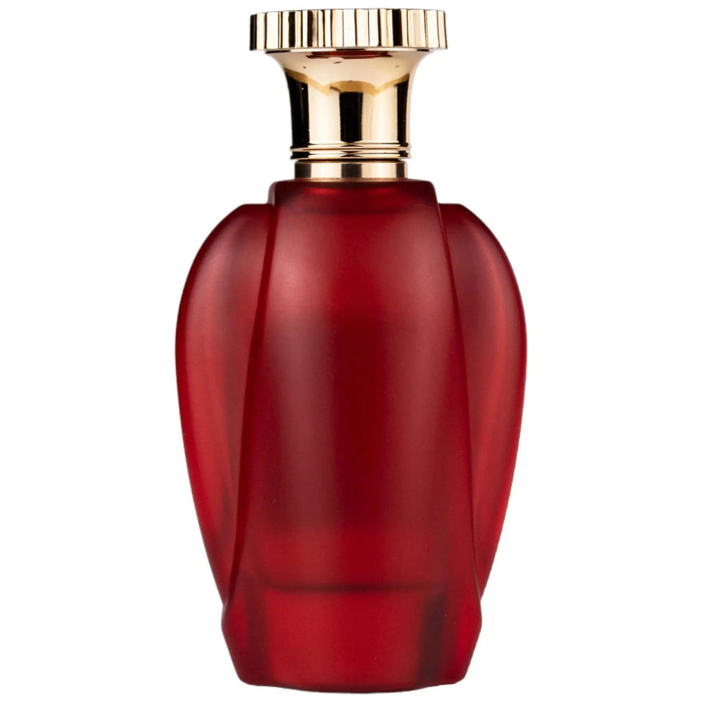 Voux Spice Perfume 100ml EDP Emir by Paris Corner